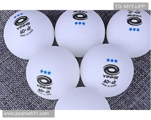 探索中国十大体育器材品牌的市场影响力与发展趋势分析